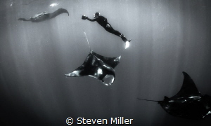 The Manta train by Steven Miller 